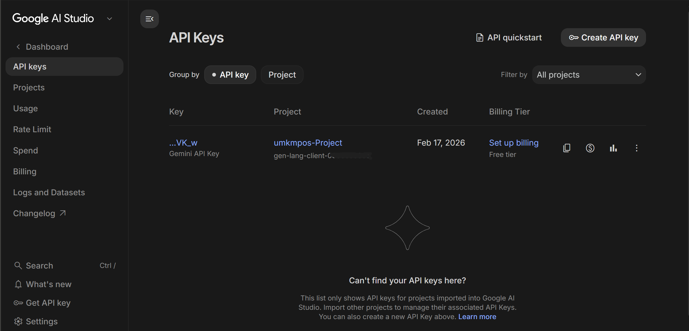 API Key Gemini