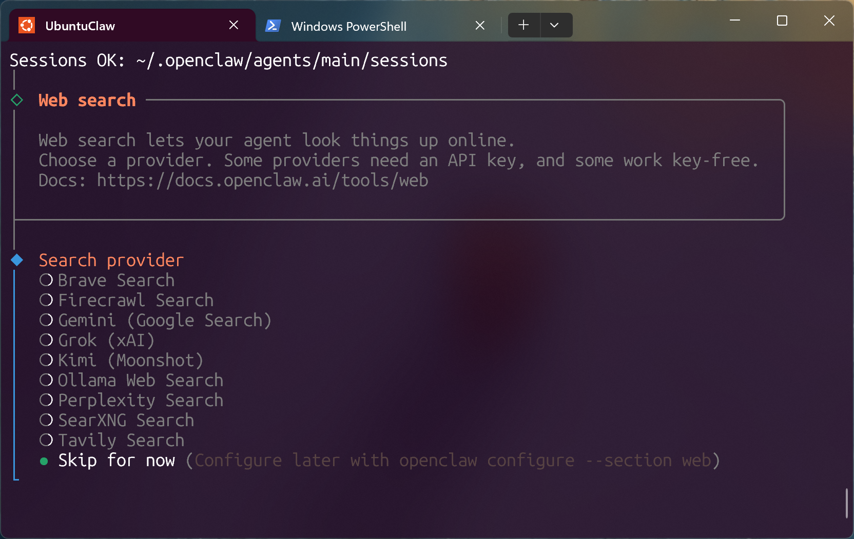 openclaw search provider
