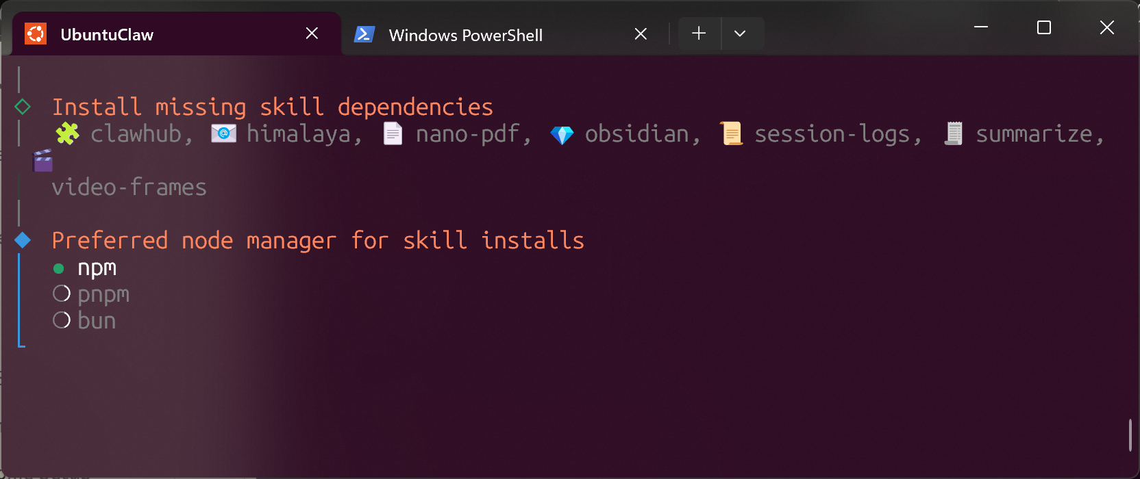 openclaw select npm