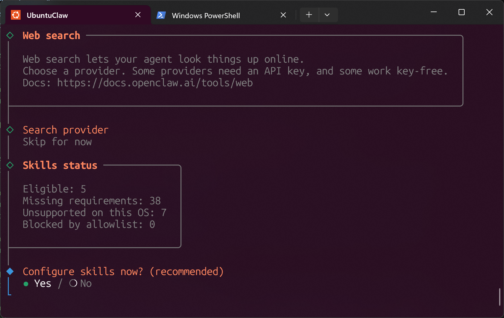 openclaw skills config